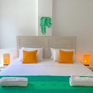https://vibe-hostels.negombohotels.net